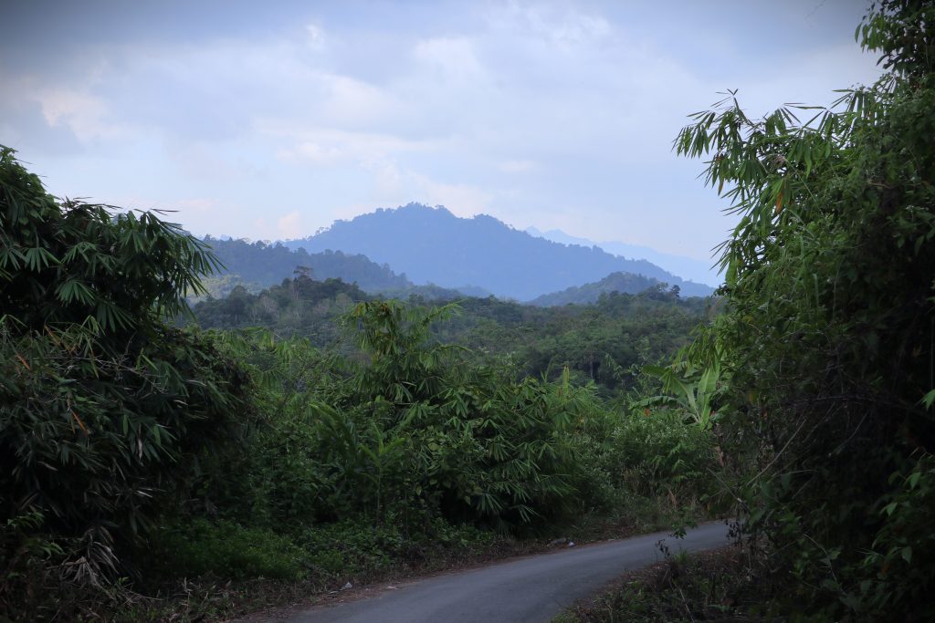 Suasana Pegunungan Meratus (Foto:Humas/Achmad Magfur)