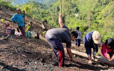 12 - Foto Berita Manugal Banih KKN Dusun Bumbun Patikalain Hantakan HST