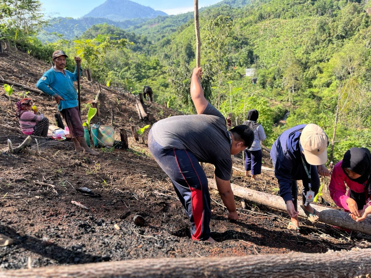 12 - Foto Berita Manugal Banih KKN Dusun Bumbun Patikalain Hantakan HST