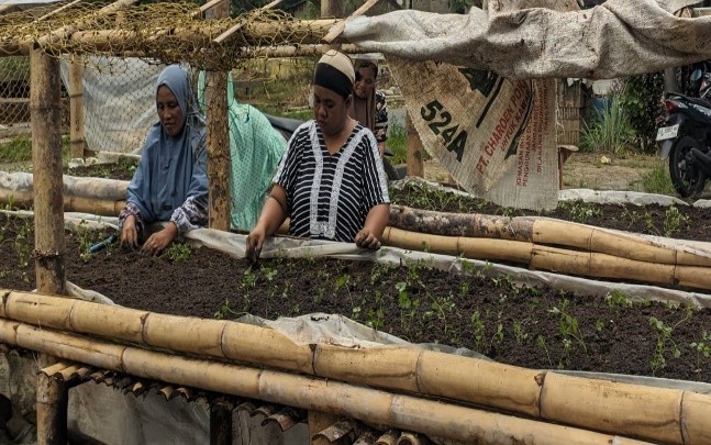 Para ibu PKK saat menanam seledri